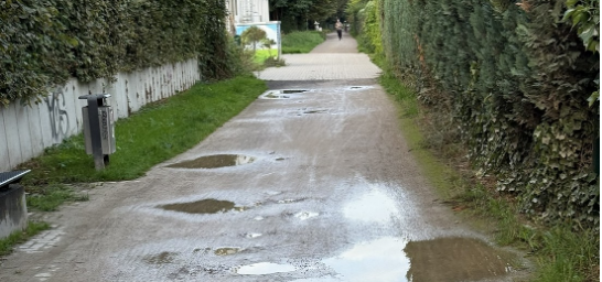 Rheinischer Esel in Annen Rheinischer Esel in Annen