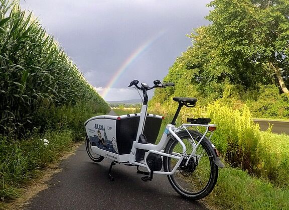 Julius, das Lastenrad